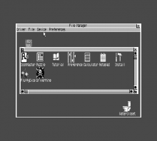 Customised Desktop from FluffyDice
